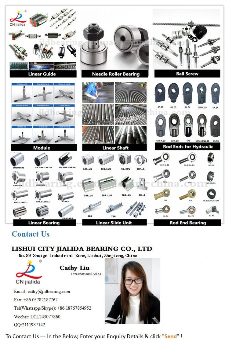 Inch Size Open Type Linear Slide Motion Bearing (LMB...UU OP series 8-64mm)